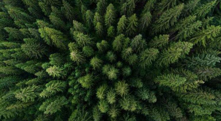 N Rent Oy - higher with lower emissions